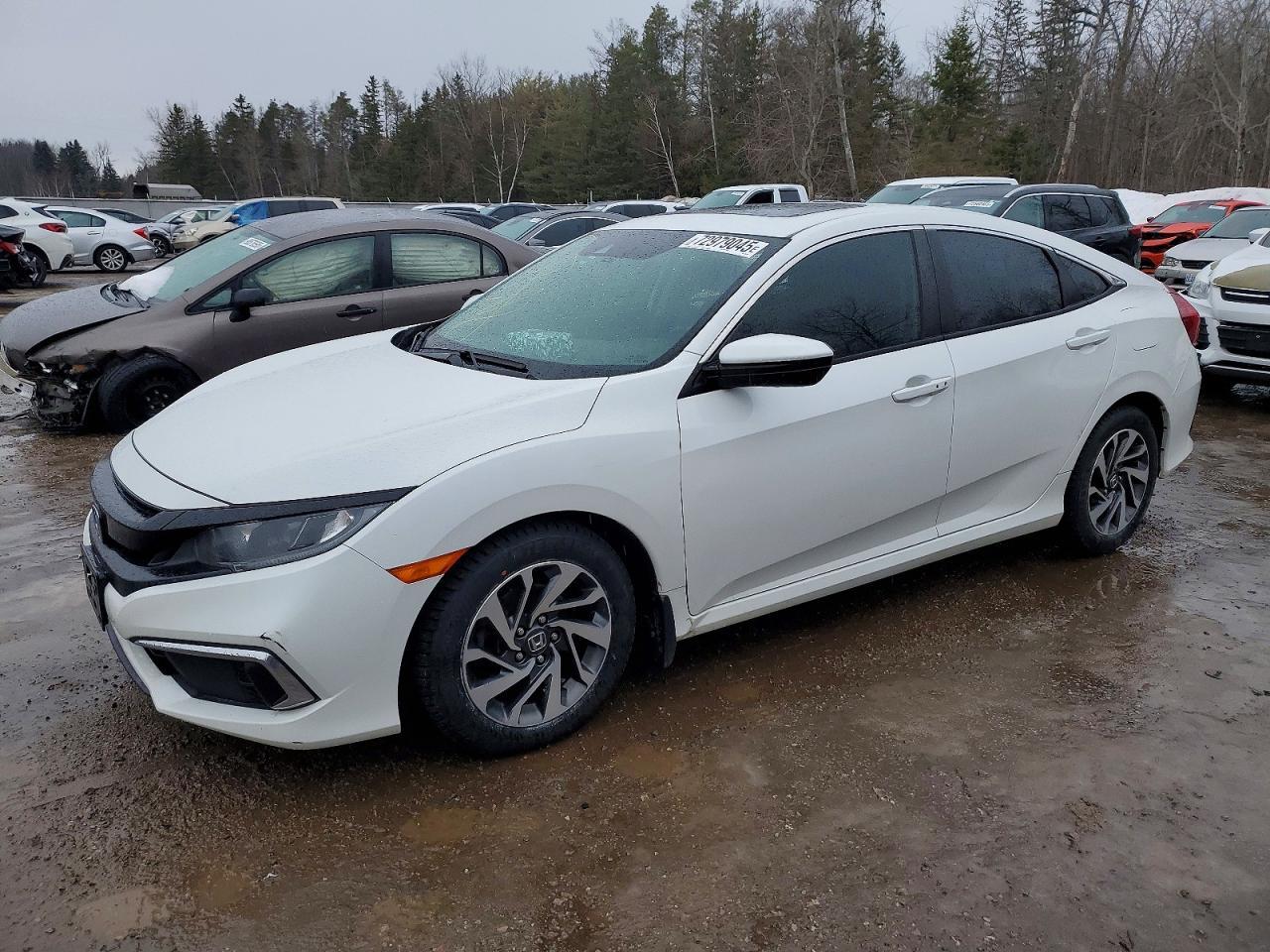 2019 Honda Civic Ex