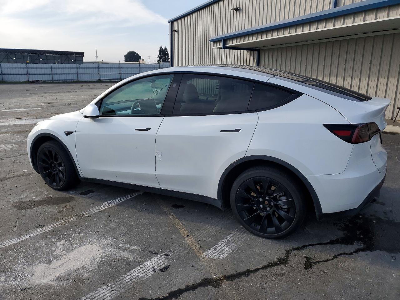2023 Tesla Model Y - Фото 2