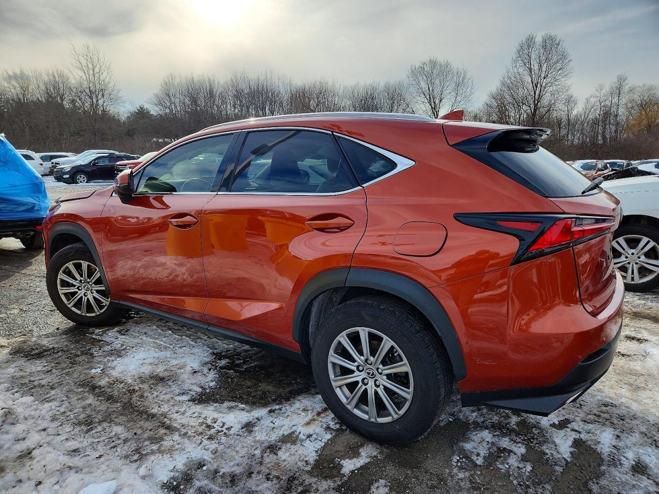 2020 Lexus Nx 300 - Image 2