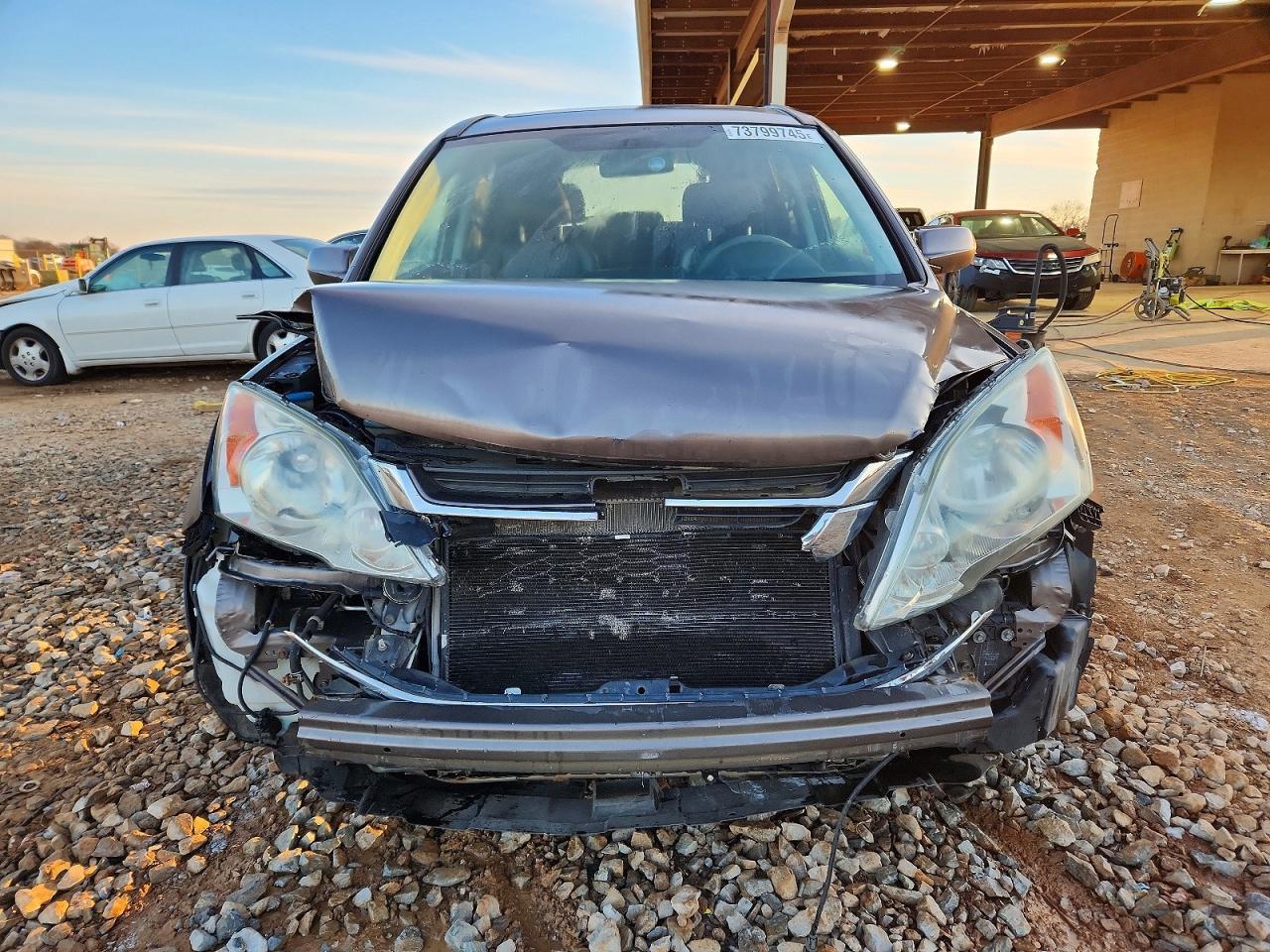2010 Honda Cr-V Exl - Image 5