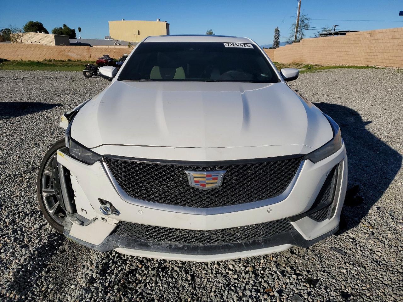 2024 Cadillac Ct5 Sport - Image 5