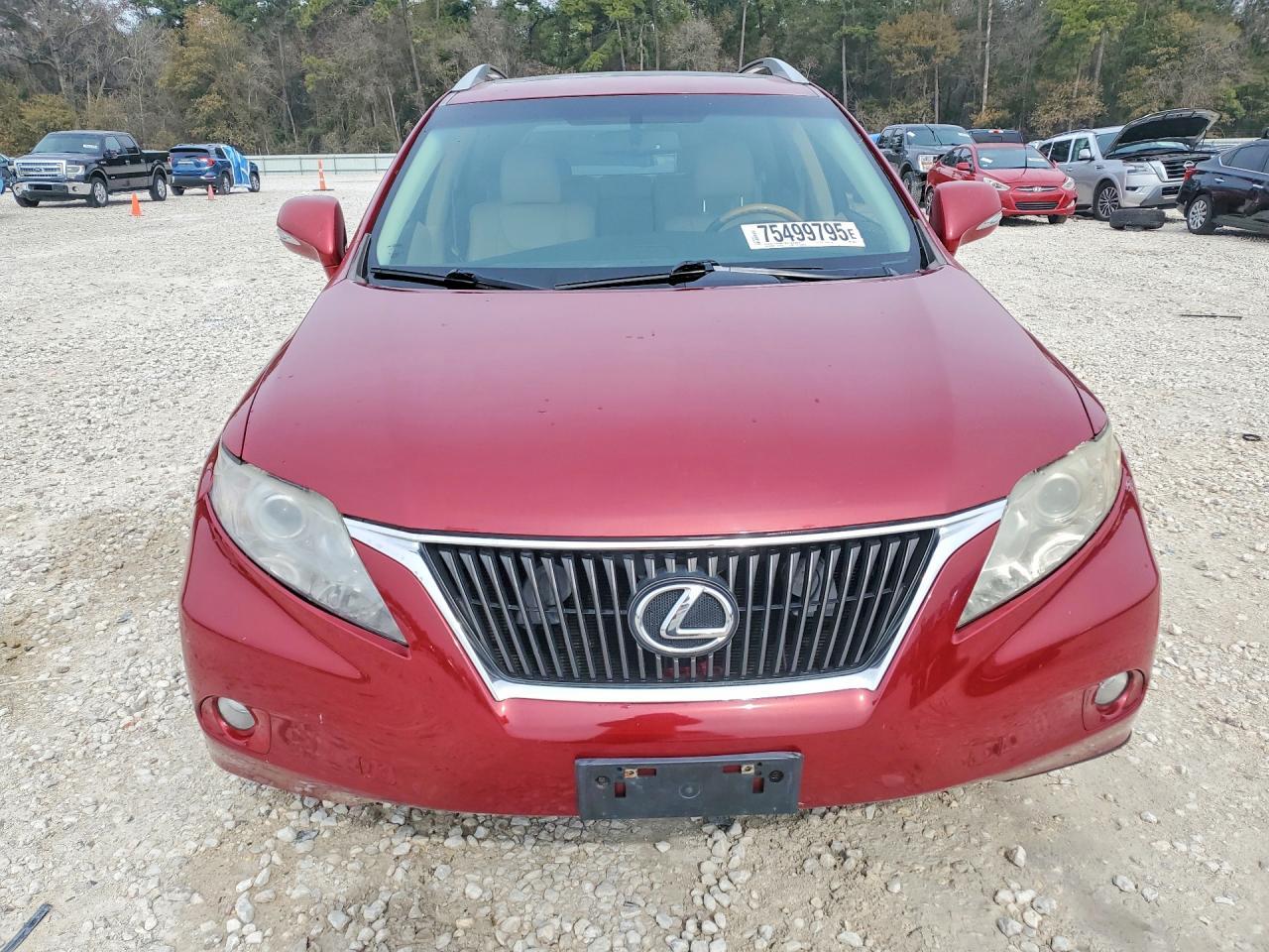 2010 Lexus Rx 350 Base - Фото 5