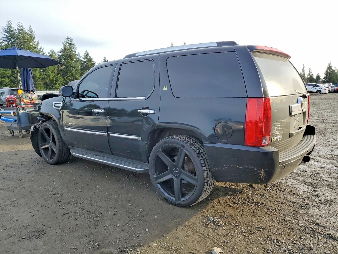 2009 Cadillac Escalade Hybrid - Фото 2