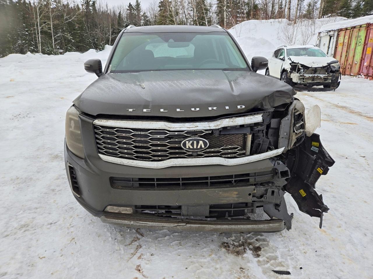2021 Kia Telluride Sx - Фото 5