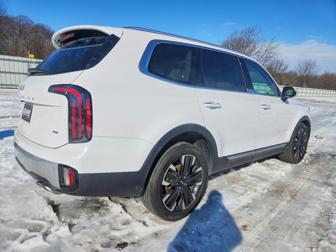 2024 Kia Telluride Sx - Фото 3