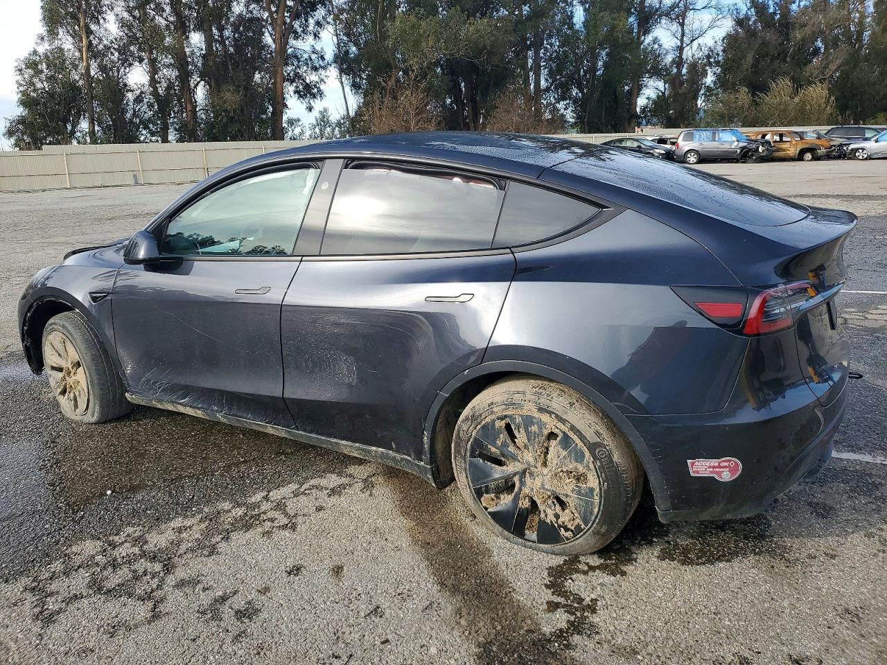 2024 Tesla Model Y - Image 2