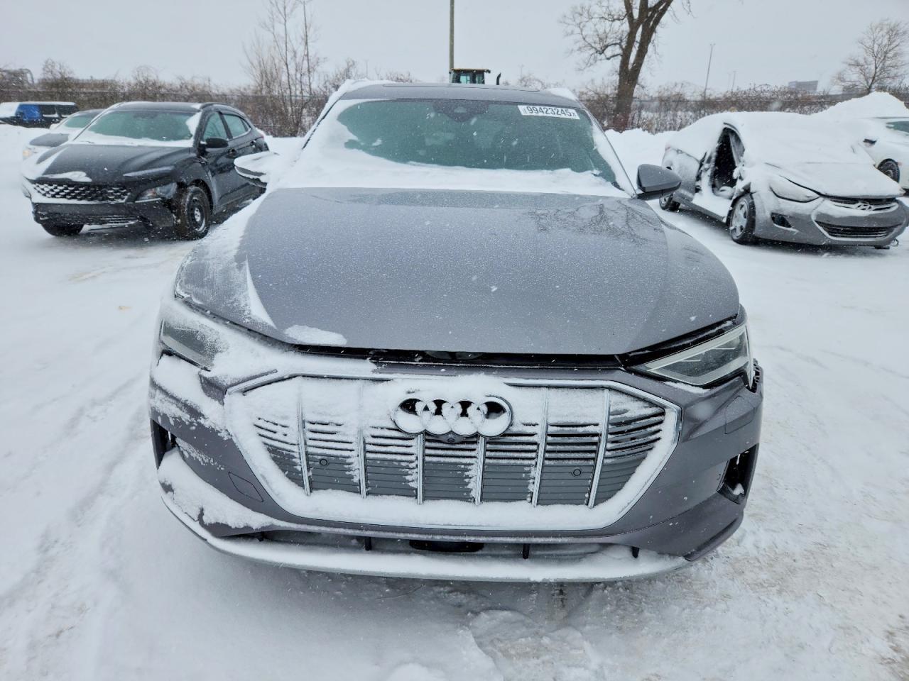 2019 Audi E-Tron Prestige - Фото 5