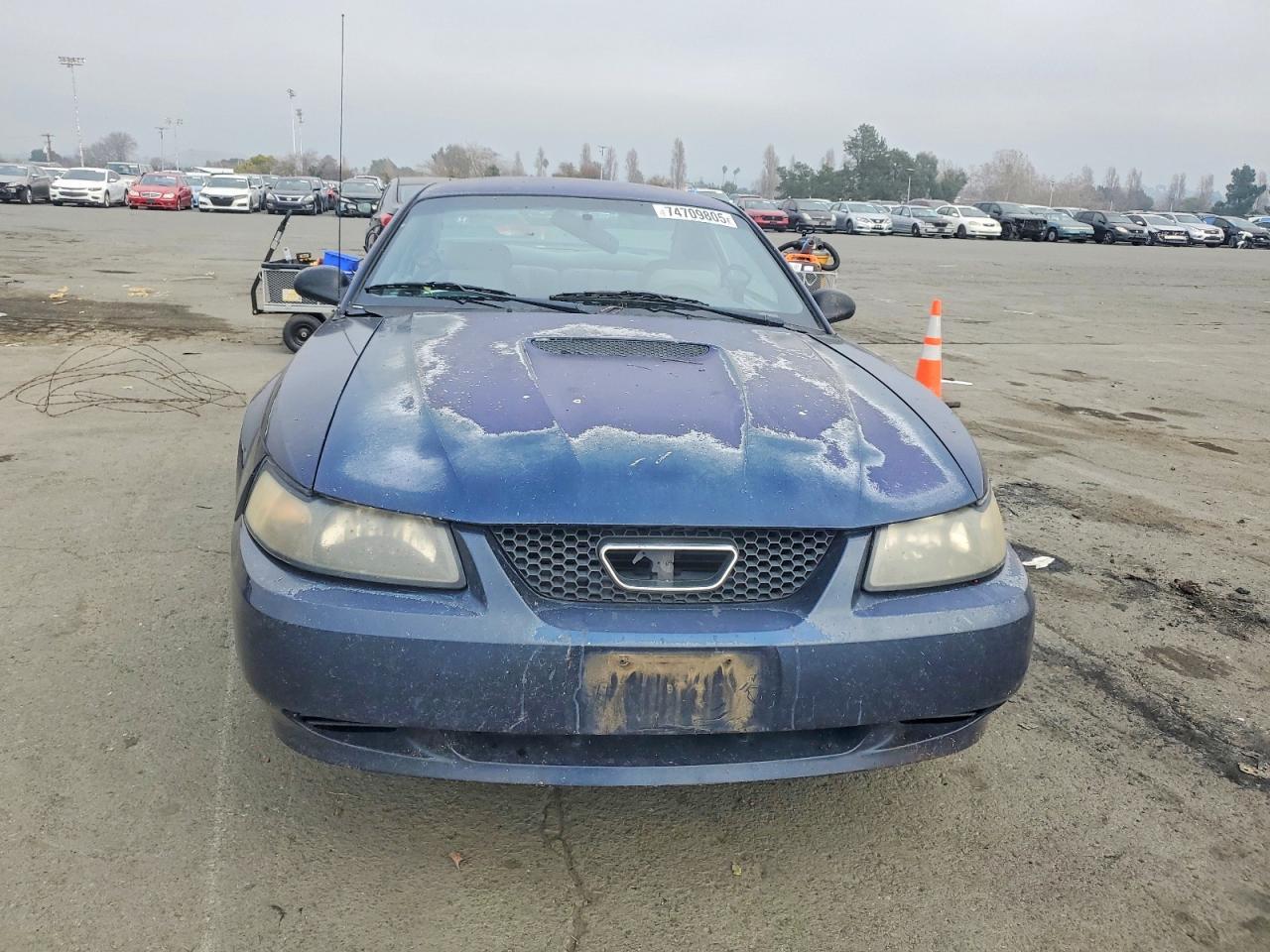 2001 Ford Mustang - Image 5