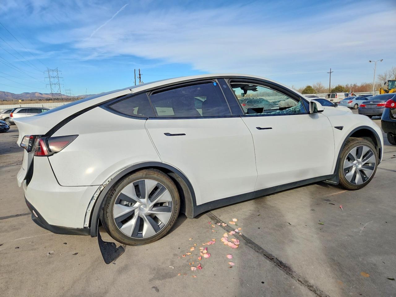 2022 Tesla Model Y - Фото 3