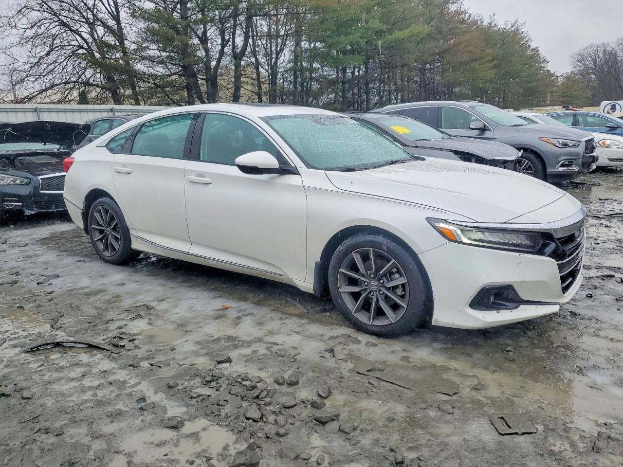 2021 Honda Accord Exl - Image 4