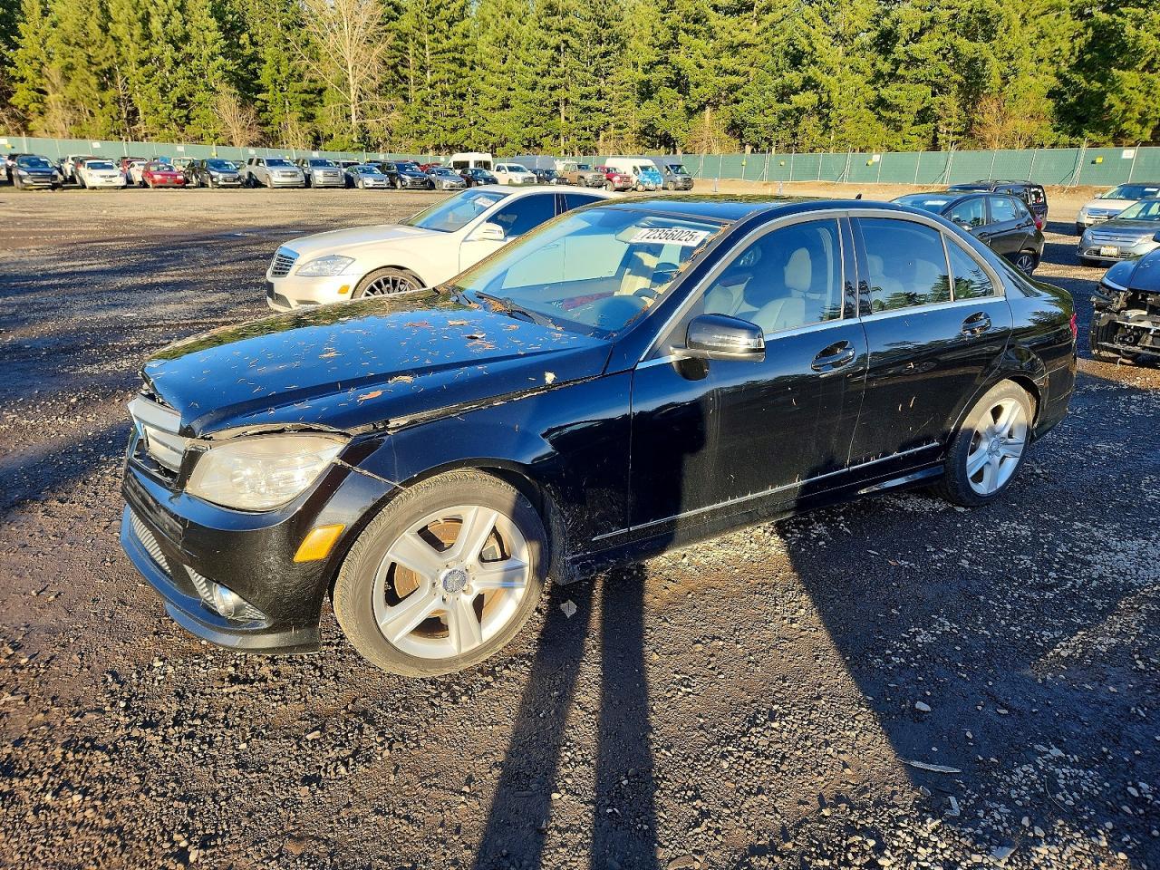2010 Mercedes-Benz C 300