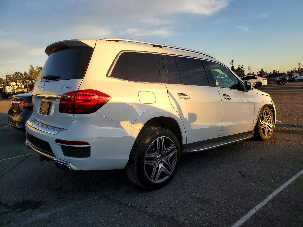 2015 Mercedes-Benz Gl 63 Amg - Фото 3