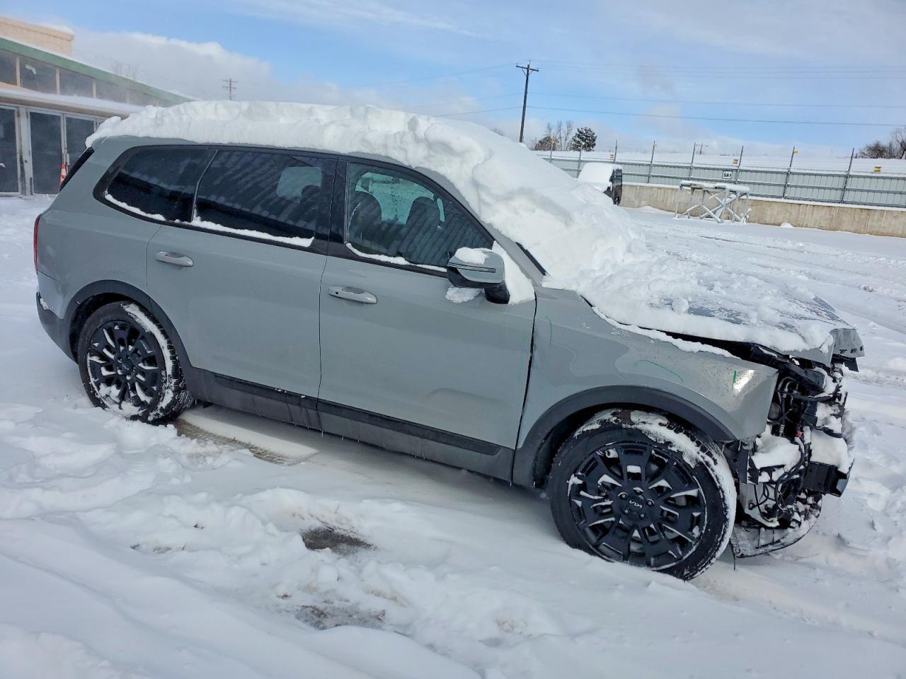 2022 Kia Telluride Sx - Фото 4