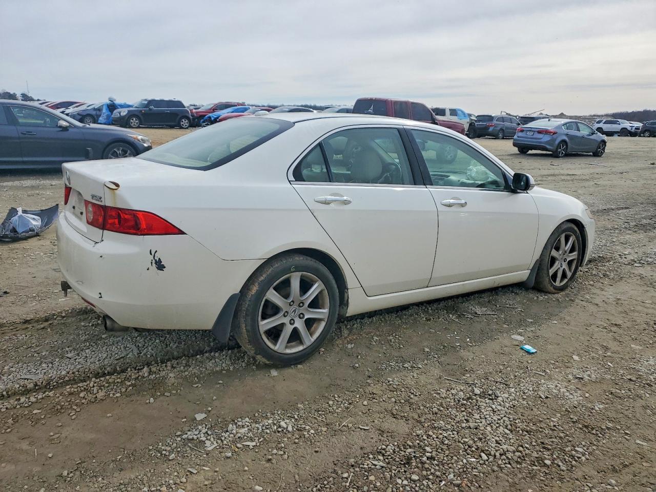 2005 Acura Tsx - Image 3