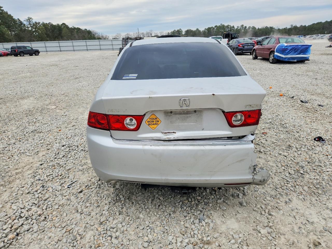 2004 Acura Tsx - Фото 6