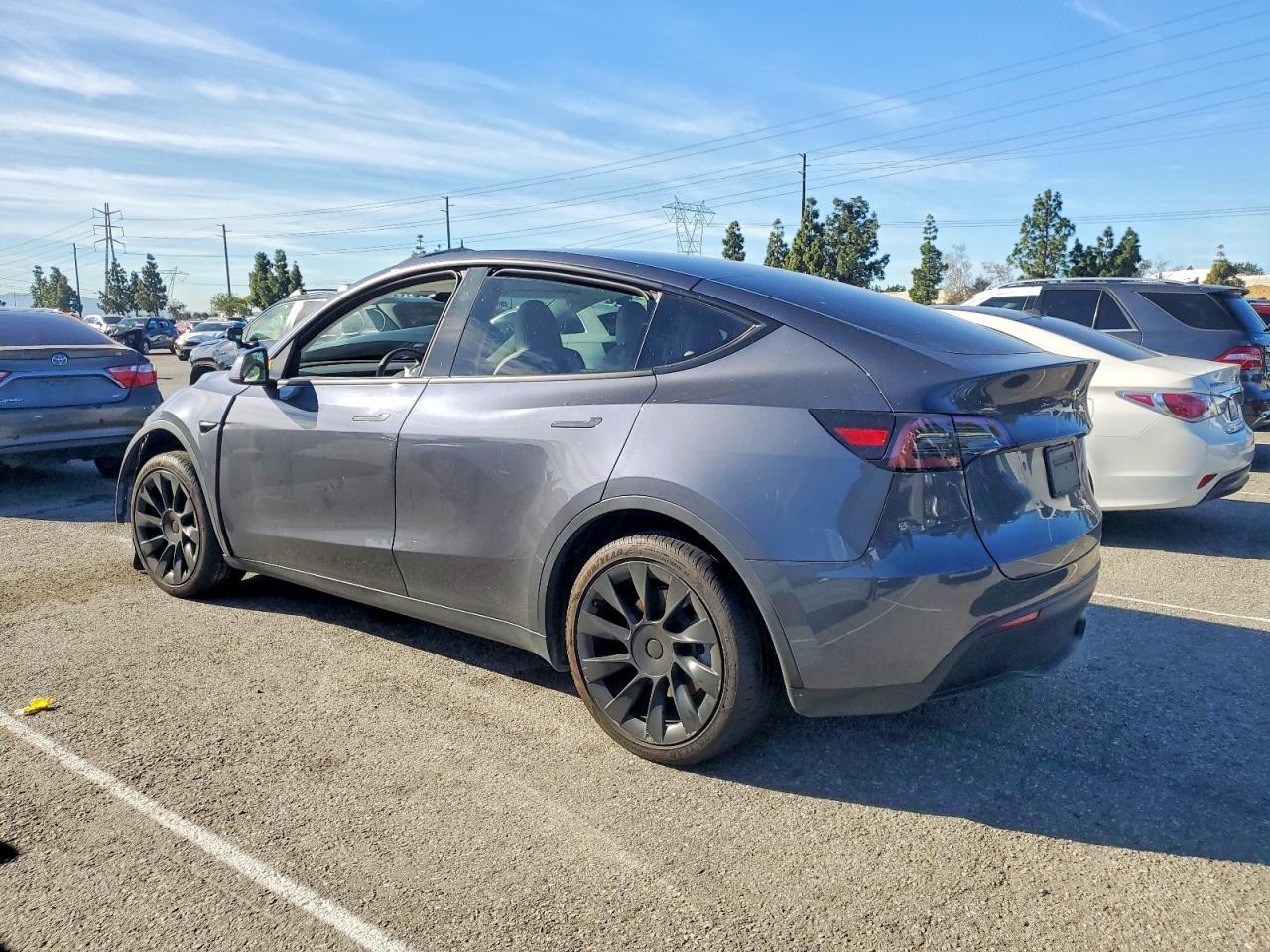 2023 Tesla Model Y - Фото 2