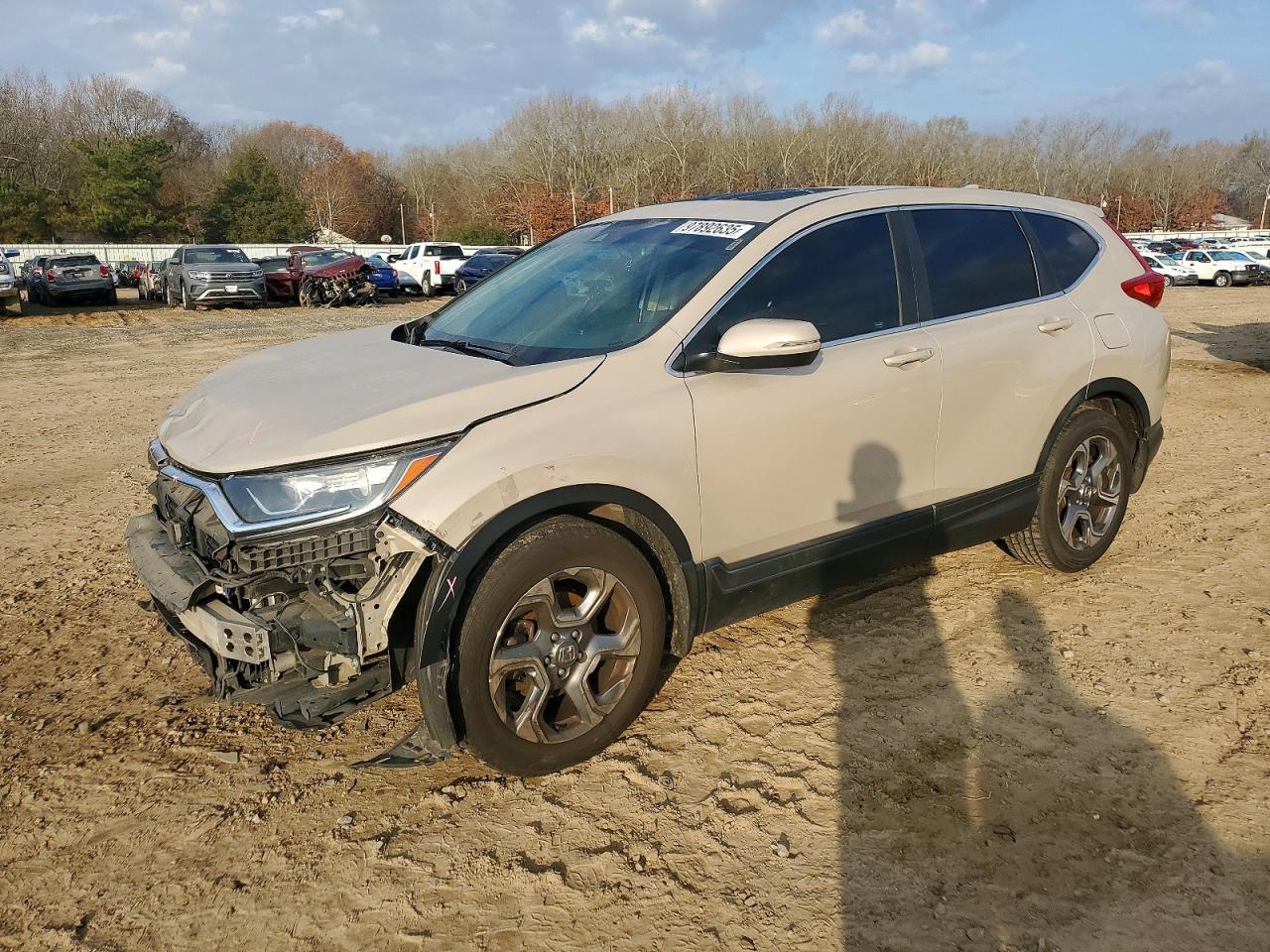 2019 Honda Cr-V Exl