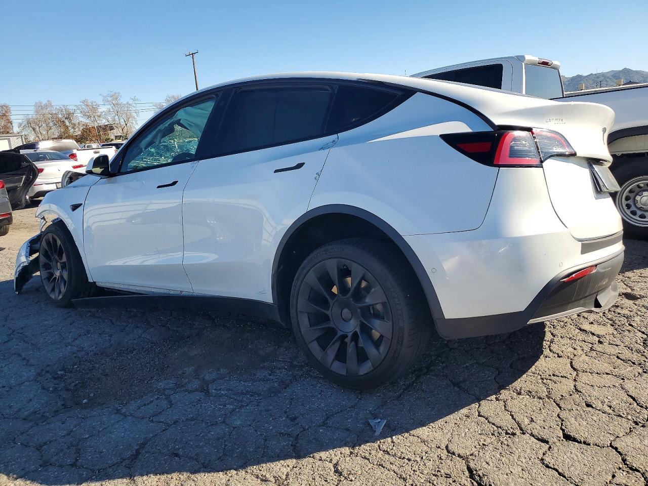 2021 Tesla Model Y - Фото 2