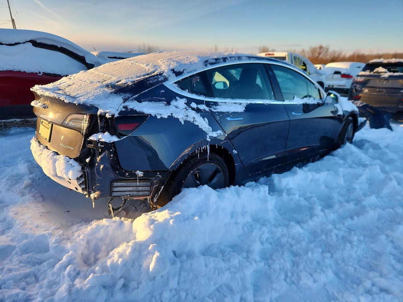 2019 Tesla Model 3 - Фото 3