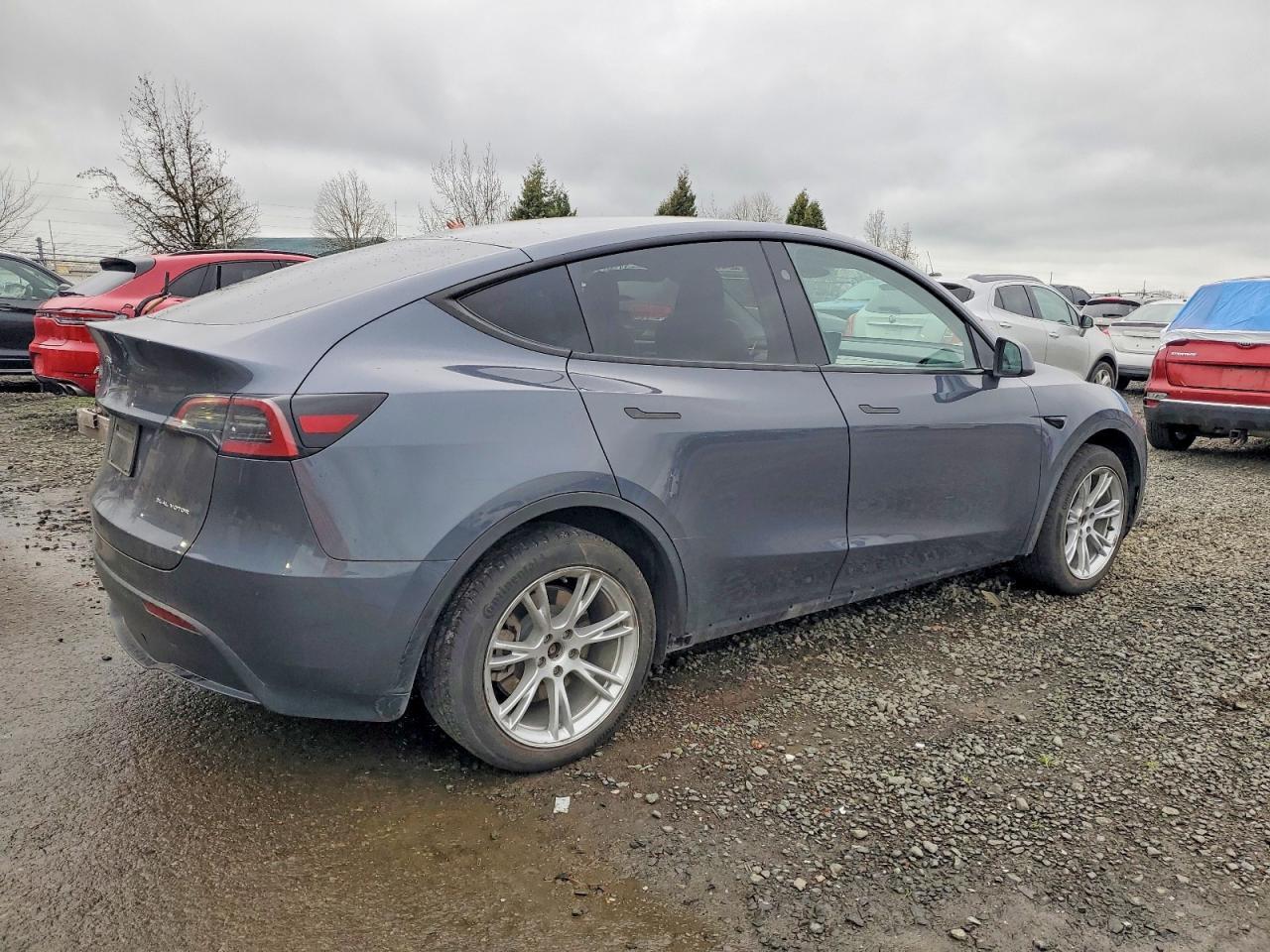2023 Tesla Model Y - Фото 3