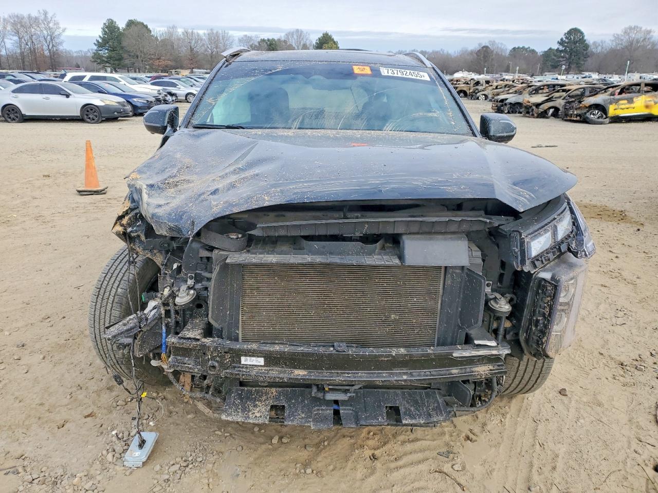 2023 Hyundai Palisade Calligraphy - Фото 5