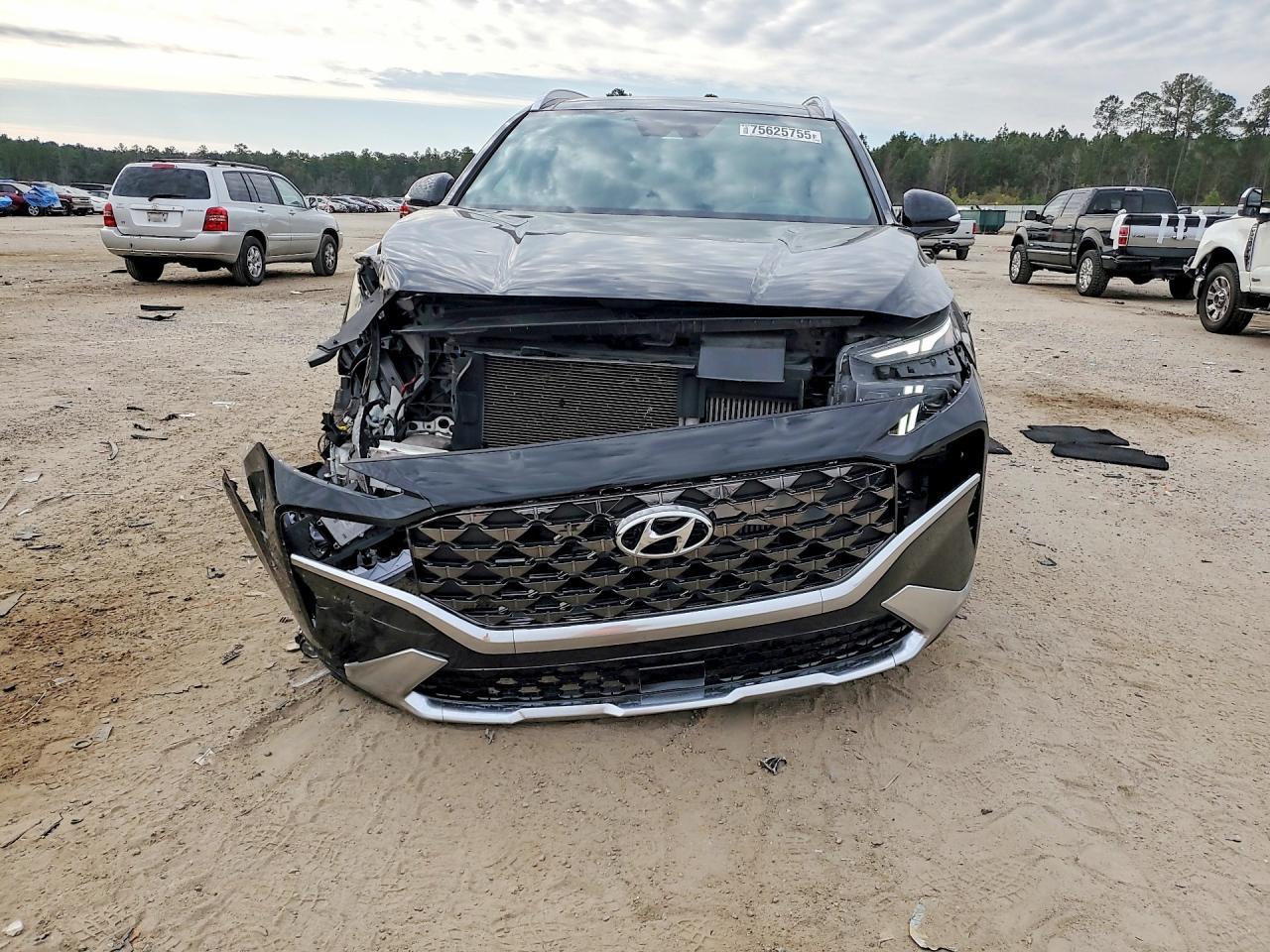 2023 Hyundai Santa Fe Calligraphy - Фото 5