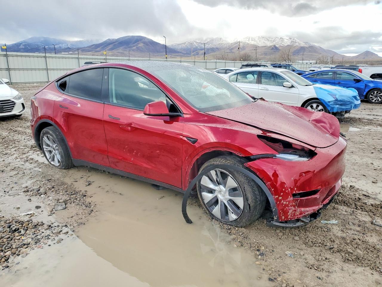 2024 Tesla Model Y - Фото 4