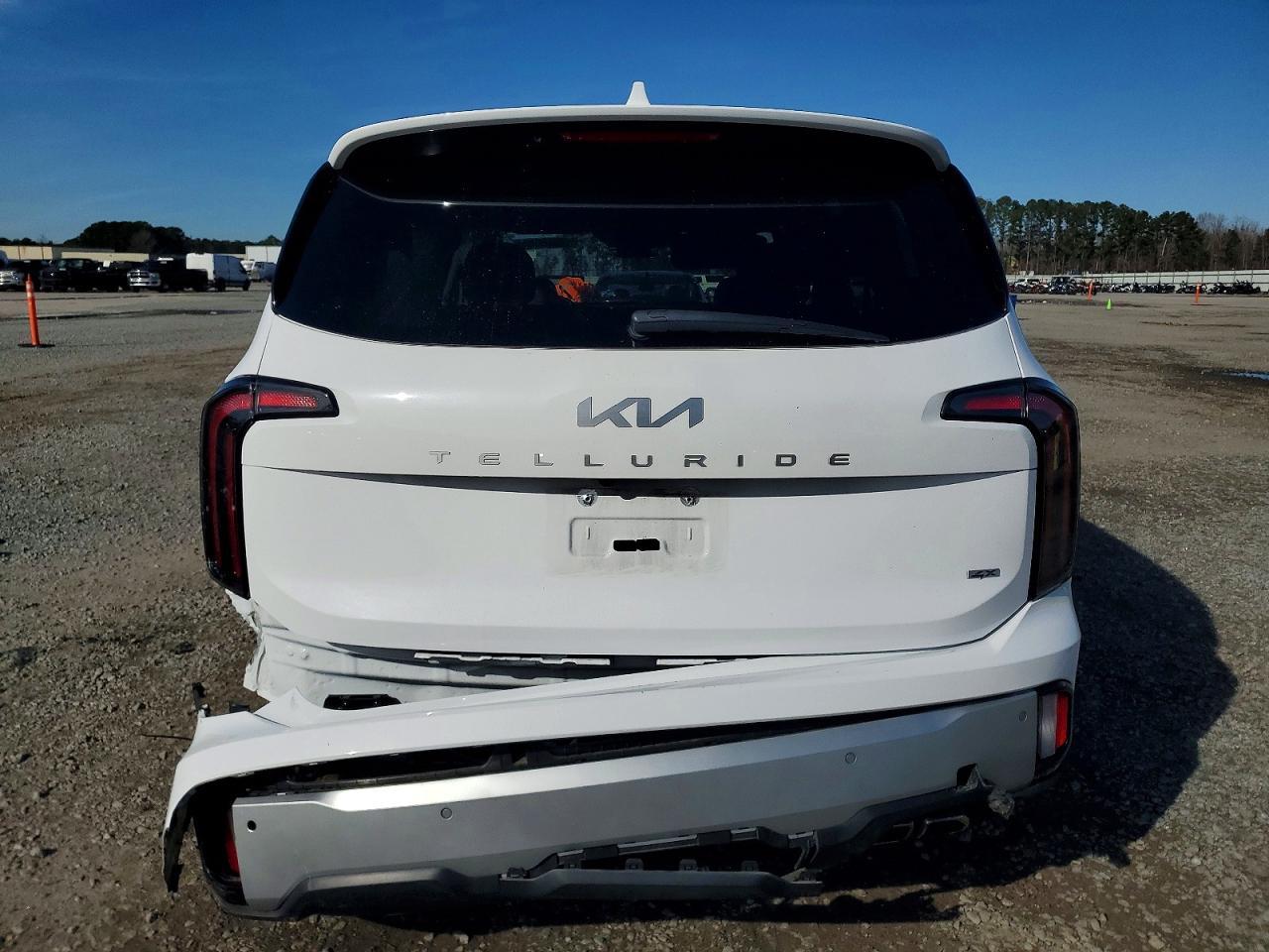 2024 Kia Telluride Sx - Фото 6