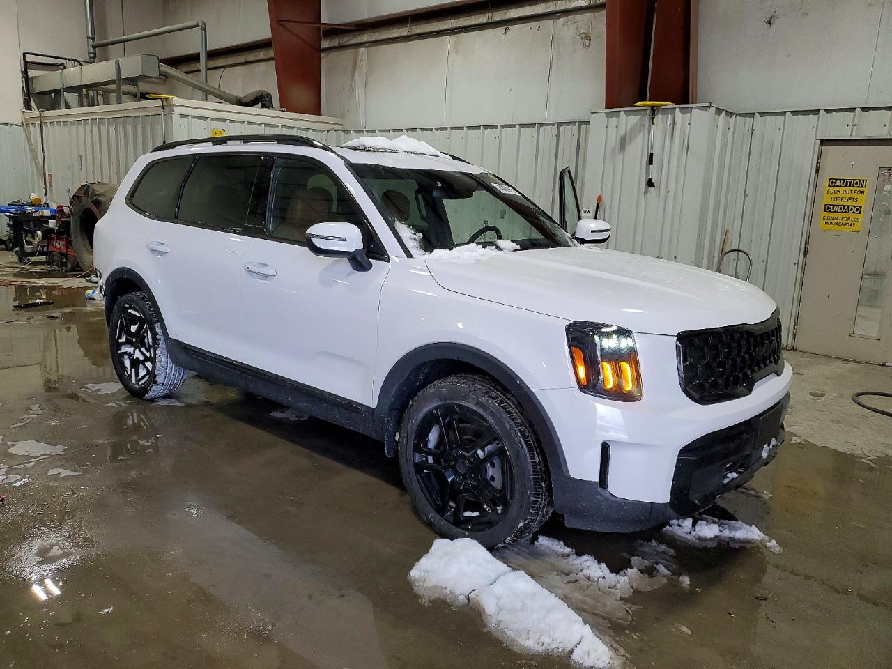 2025 Kia Telluride Ex - Фото 4