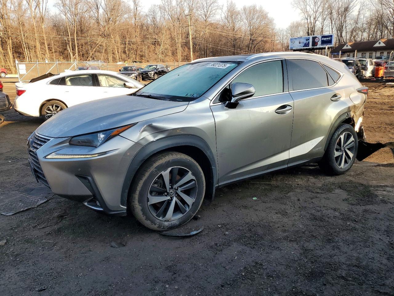 2020 Lexus Nx300H