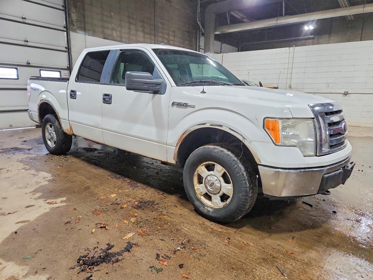 2010 Ford F150 Supercrew - Фото 4