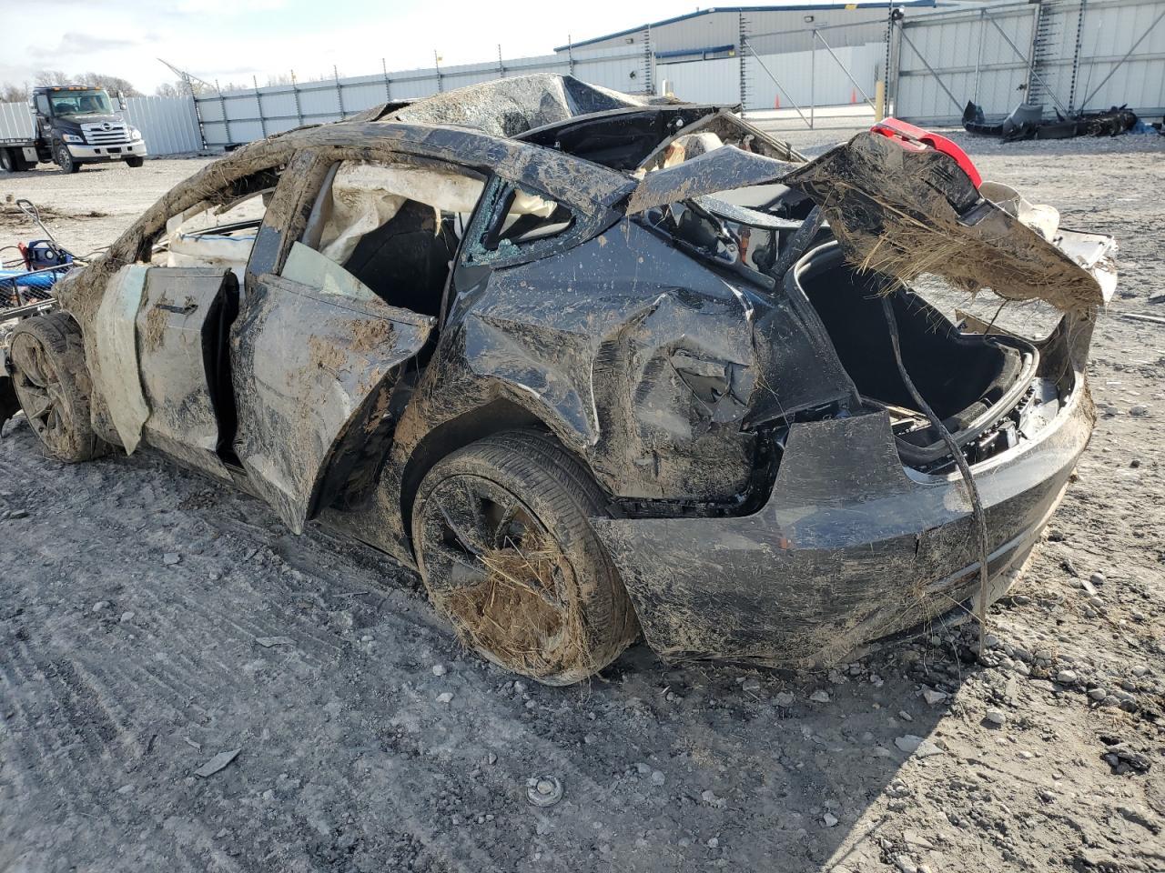 2025 Tesla Model 3 - Фото 2