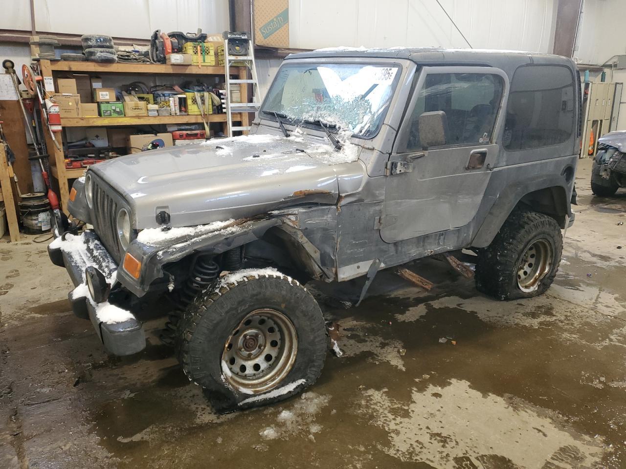 2002 Jeep Wrangler / Tj Se