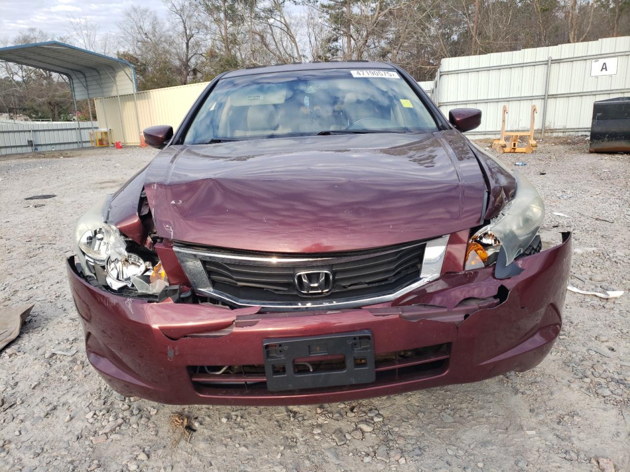 2010 Honda Accord Exl - Фото 5