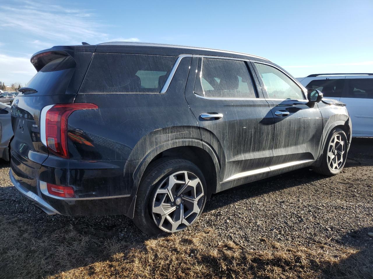 2021 Hyundai Palisade Limited - Фото 3