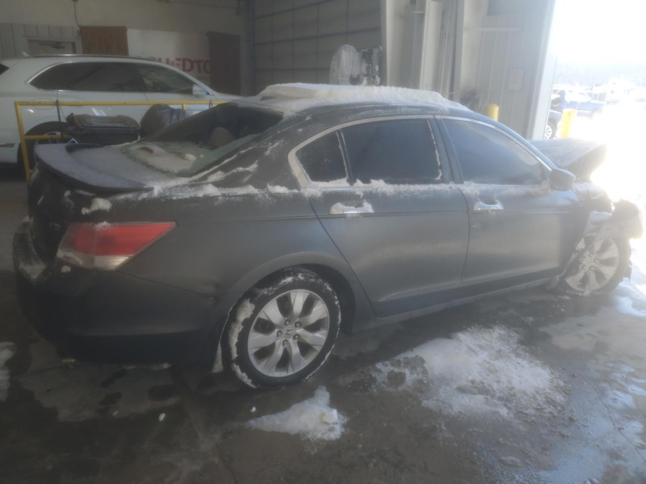 2008 Honda Accord Exl - Фото 3