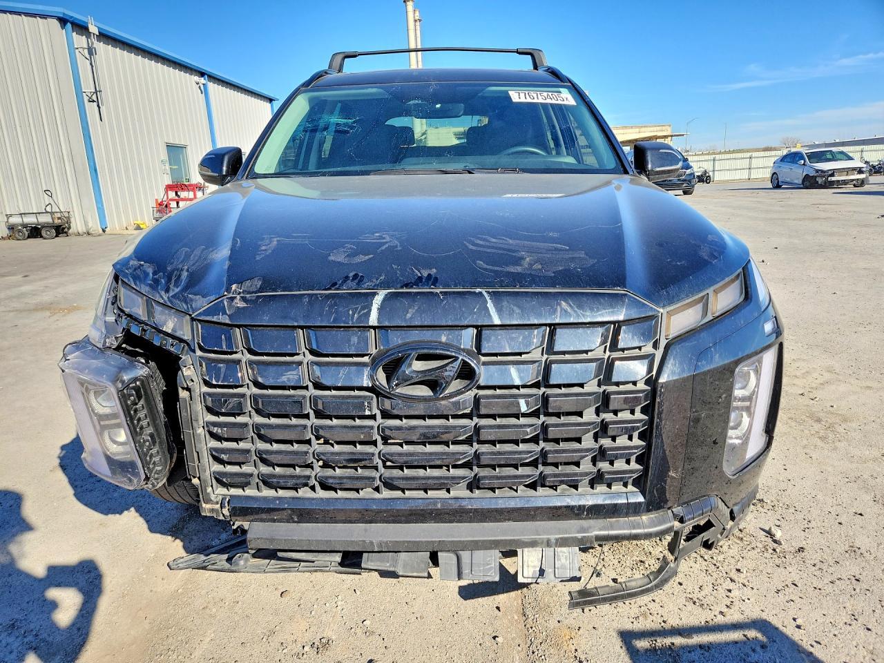 2024 Hyundai Palisade Xrt - Фото 5