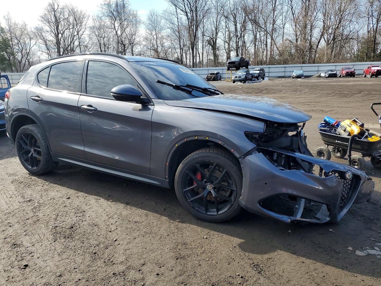 2019 Alfa Romeo Stelvio Ti - Фото 4