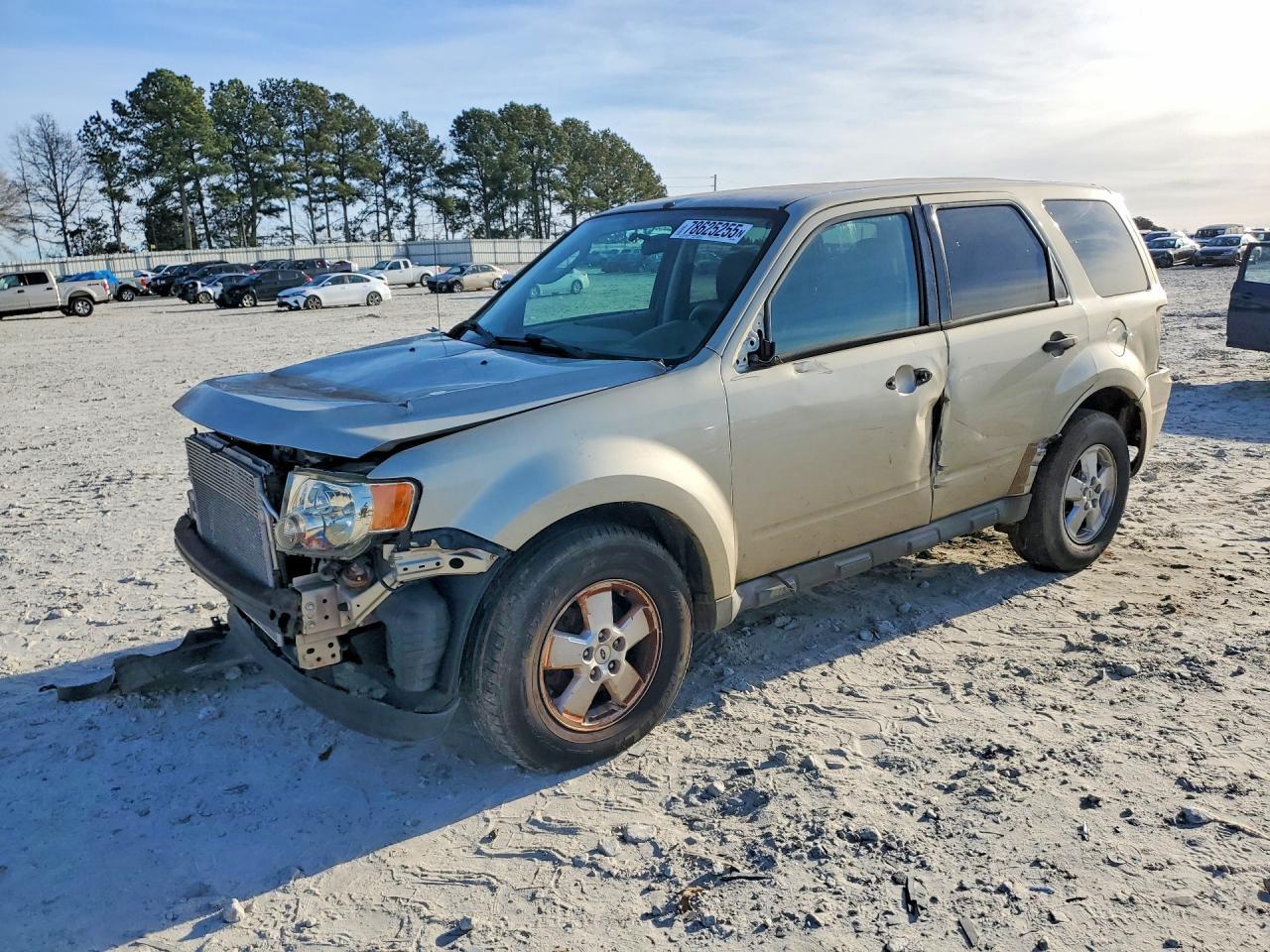 2010 Ford Escape Xls