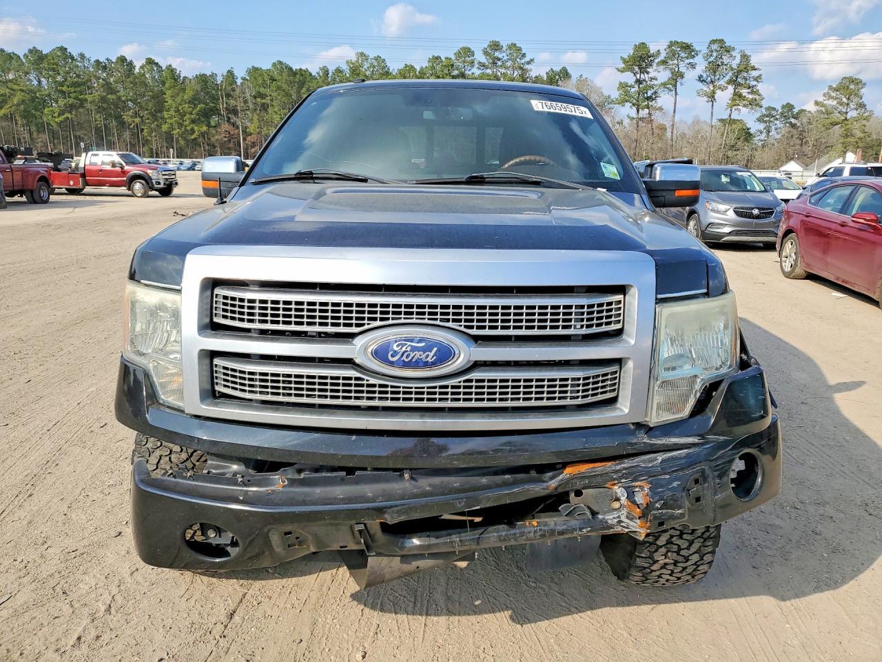 2010 Ford F150 Supercrew - Фото 5