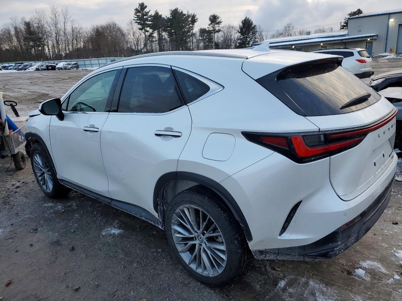 2023 Lexus Nx 350H - Фото 2