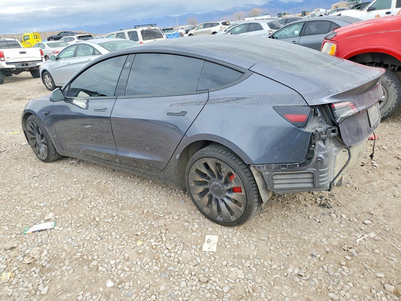 2023 Tesla Model 3 - Фото 2