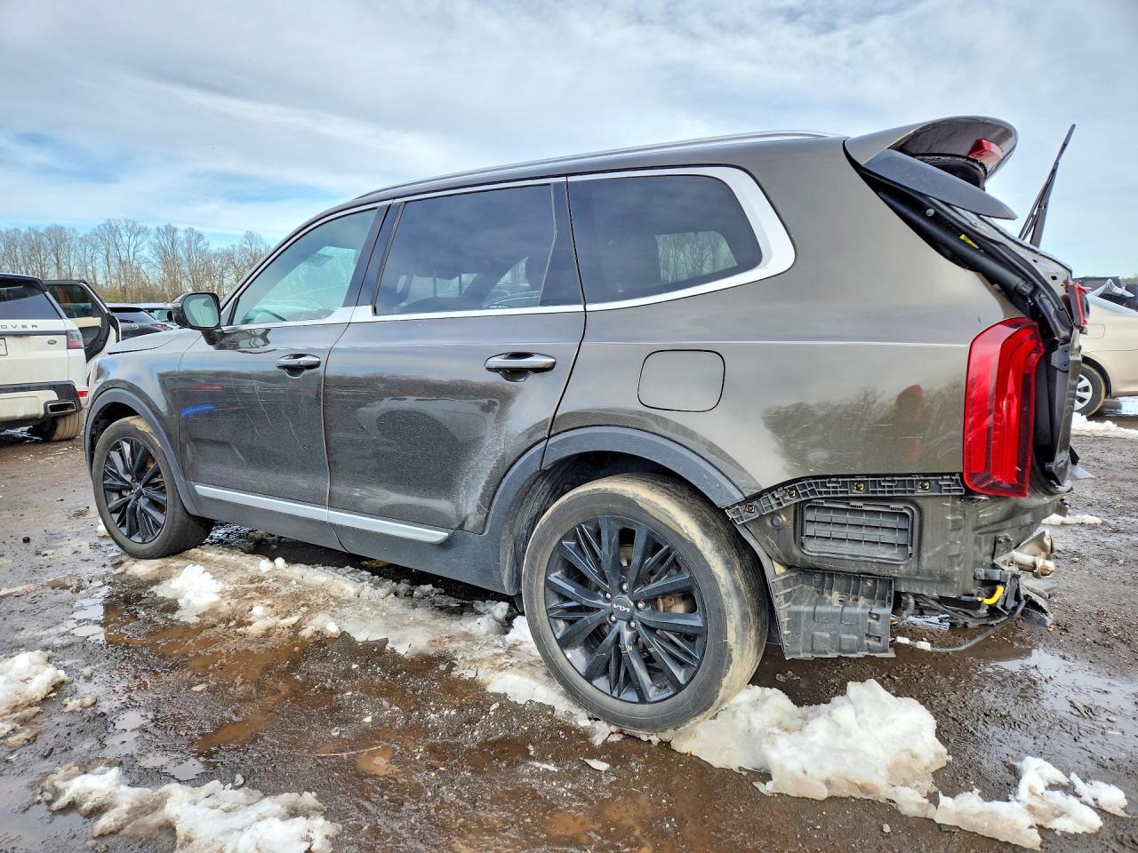 2022 Kia Telluride Sx - Фото 2