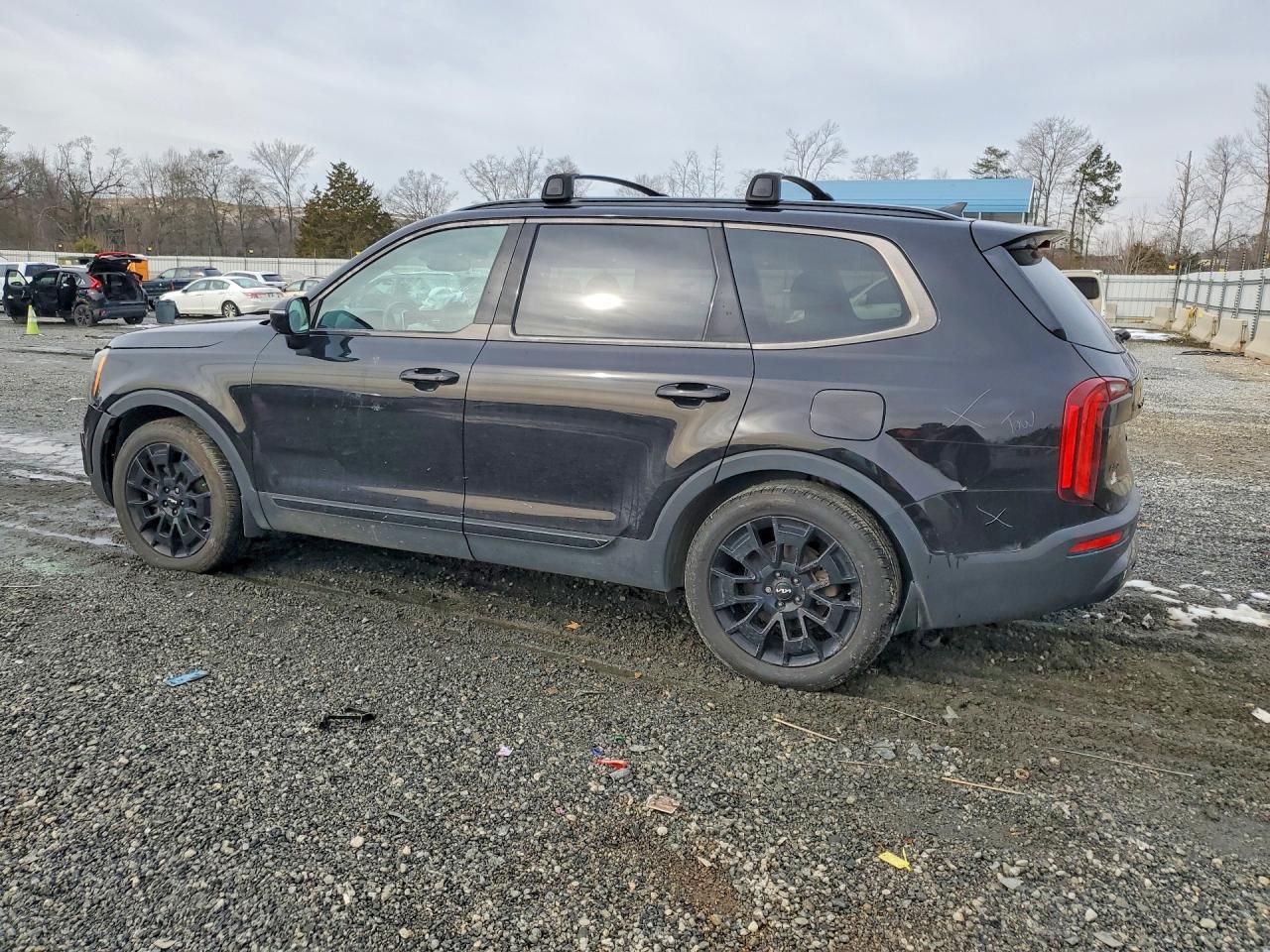 2022 Kia Telluride Sx - Фото 2