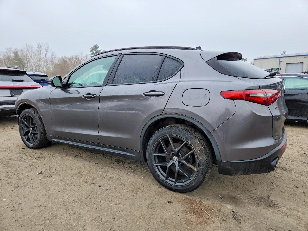 2019 Alfa Romeo Stelvio Quadrifoglio - Фото 2