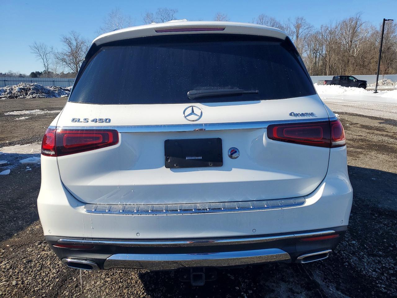 2020 Mercedes-Benz Gls 450 4Matic - Фото 6