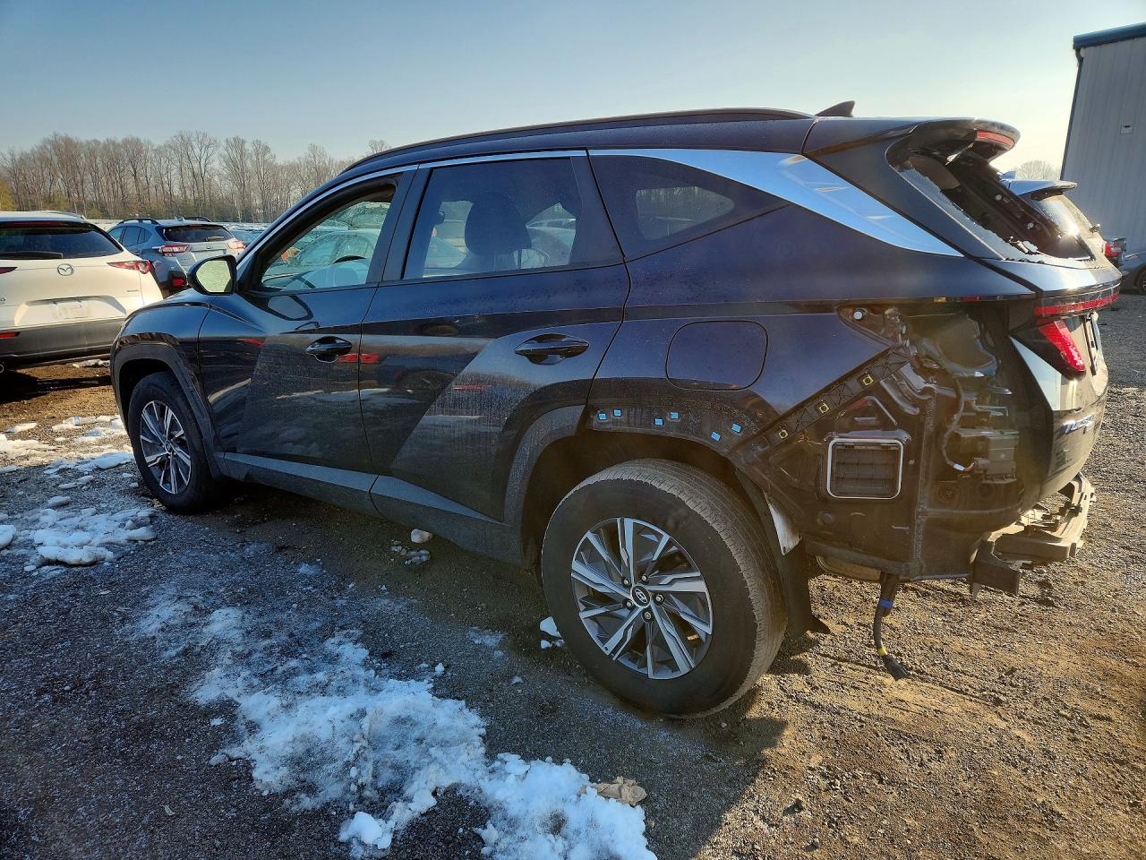 2024 Hyundai Tucson Blue - Фото 2