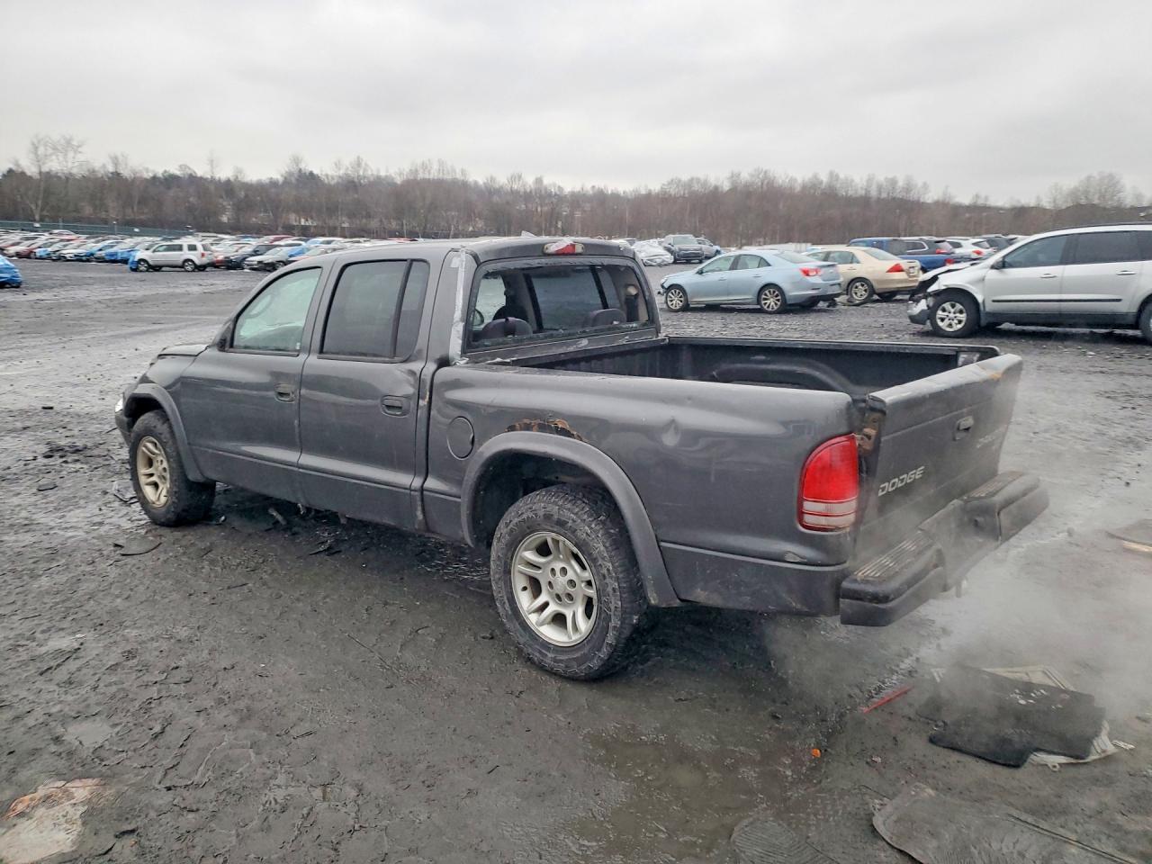2004 Dodge Dakota Quad Sport - Фото 2