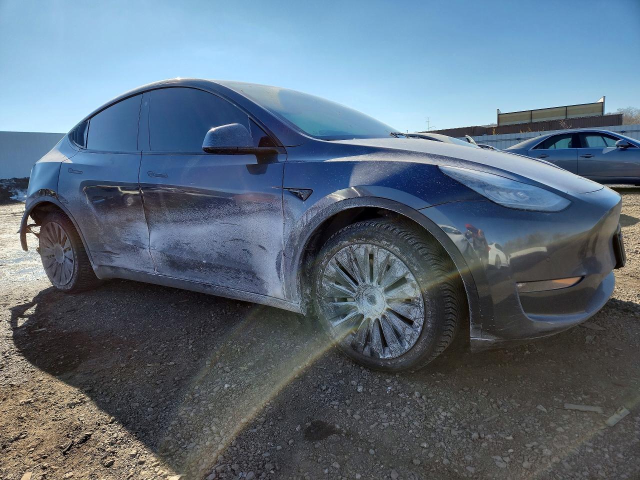 2021 Tesla Model Y - Фото 4