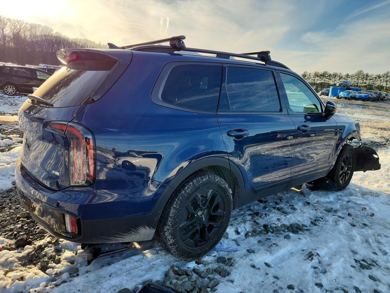 2024 Kia Telluride Sx - Image 3